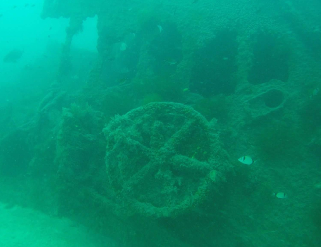 Plongée Épave ESO – 45 minutes d’exploration à 21 mètres sous les eaux