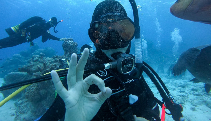 Les saisons idéales pour plonger à Djerba : météo, température et visibilité